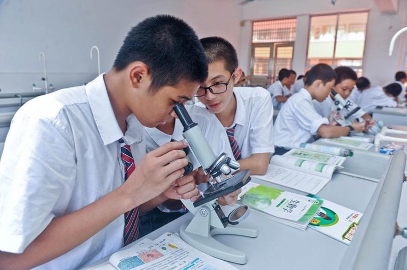 素质教育：培养未来的社会栋梁